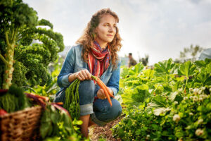Leia mais sobre o artigo Produtores familiares: Ministério da Agricultura investe em campanha para produtos orgânicos