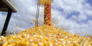 Leia mais sobre o artigo Safra de grãos 2021/22 pode chegar a 270,2 milhões de toneladas