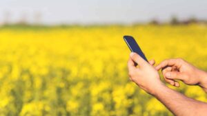 Read more about the article 83% dos usuários de internet rurais se conectam apenas pelo celular