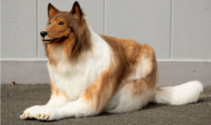 Leia mais sobre o artigo Japonês gasta R$ 75 mil para se transformar em cachorro