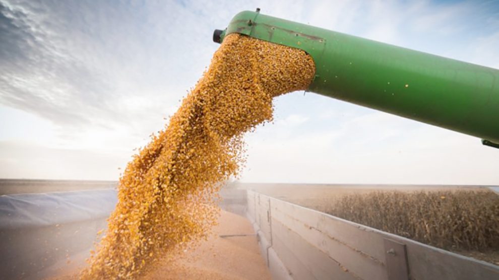 Você está visualizando atualmente Com a guerra, Brasil pode exportar R$ 2,3 bi a mais em grãos em 2022