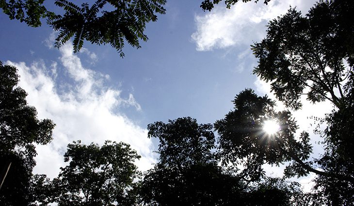 Você está visualizando atualmente TEMPO EM MS : Previsão de chuva na região sul e tempo firme no restante do Estado