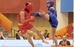 Leia mais sobre o artigo Campeonato de Kung Fu Wushu agita fim de semana