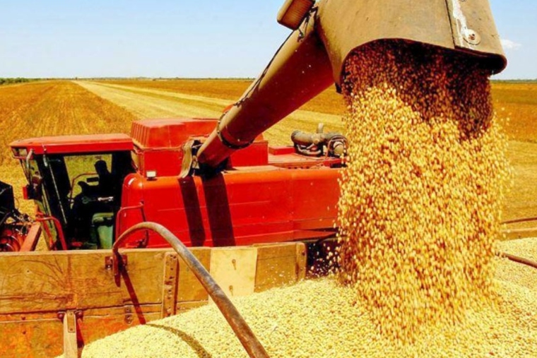 Você está visualizando atualmente Conab preve 272,5 milhões de toneladas de produção de grãos