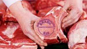 Leia mais sobre o artigo Exportações de carne bovina segue sendo o destaque de julho/22