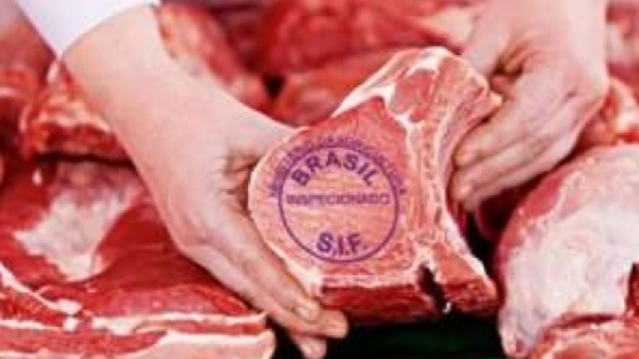 Você está visualizando atualmente Exportações de carne bovina segue sendo o destaque de julho/22