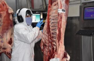 Leia mais sobre o artigo Mercado de carnes em MS e exportações cresceram quase 50% este ano