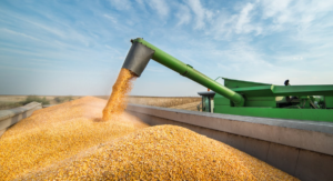 Leia mais sobre o artigo JUNHO EM MS: Volume das exportações de soja e milho somam U$$ 198 milhões