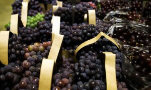 Leia mais sobre o artigo APEXBRASIL: Vai qualificar produtores e empresas para exportação de frutas