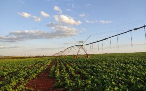 Leia mais sobre o artigo Área irrigada do Brasil pode crescer 4,2 milhões de hectares