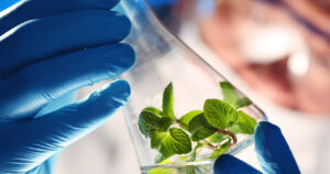 Leia mais sobre o artigo Edital para desenvolver tecnologia de biotecnologia está aberto