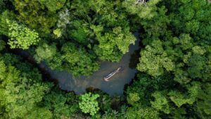 Read more about the article Governo federal estuda reativar Fundo Amazônia
