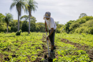 Read more about the article Programa Terra Brasil libera mais de R$ 58 mi para agricultores