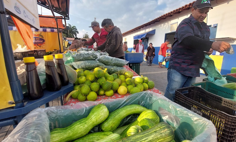 Você está visualizando atualmente SEBRAE: Horticultores do interior de MS melhoram qualidade dos alimentos