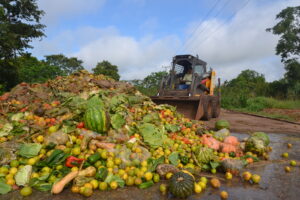 Leia mais sobre o artigo Brasil desperdiça mais de 27 milhões de toneladas de alimentos por ano
