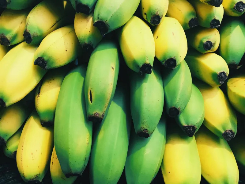Você está visualizando atualmente Comer banana verde pode ajudar na prevenção de câncer