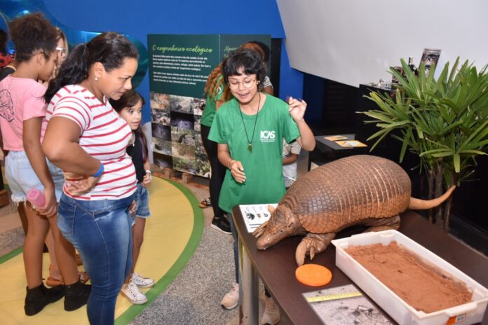 Você está visualizando atualmente EXPOSIÇÃO: Bioparque Pantanal mostra Tatu Canastra e Tamanduá Bandeira