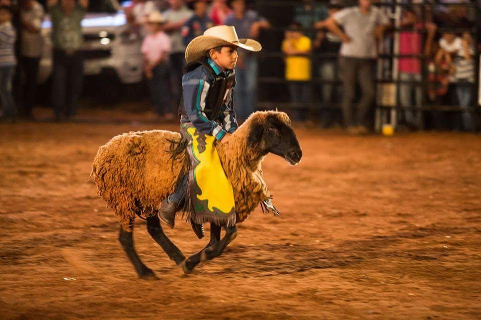 Você está visualizando atualmente III Rodeio de Itaporã Fest Bulls vai até 11 de setembro