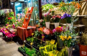 Leia mais sobre o artigo Mercado de Flores no Brasil atingiu R$ 10,9 bilhões em 2021