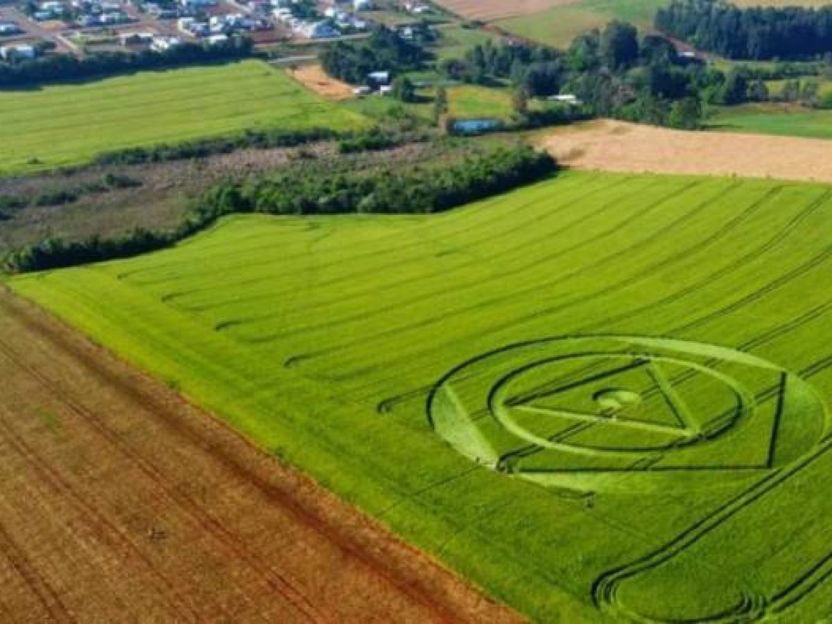 agroglifo-misterioso-aparece-em-plantacao-em-santa-catarina