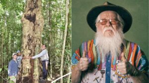 Leia mais sobre o artigo Árvore gigante descoberta no Brasil homenageia Hermeto Pascoal