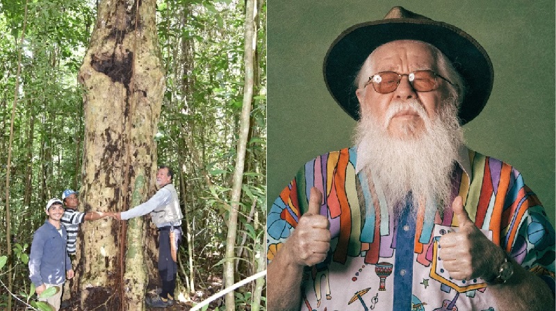 Você está visualizando atualmente Árvore gigante descoberta no Brasil homenageia Hermeto Pascoal