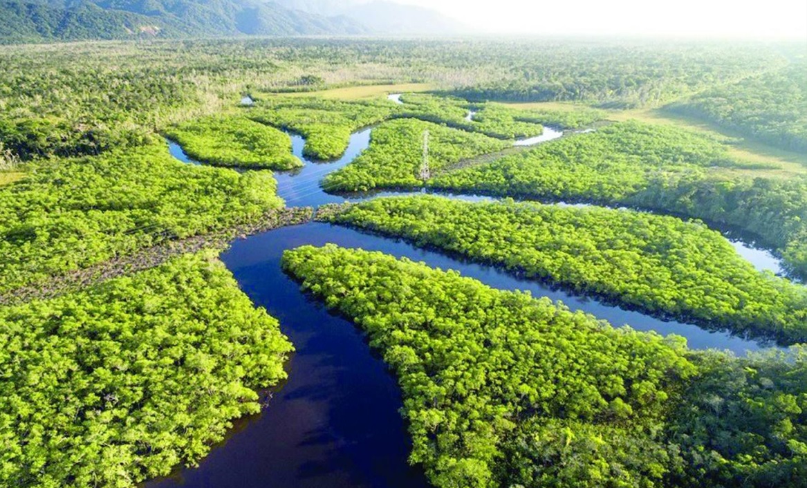 Você está visualizando atualmente Organizações propõem agenda pela Amazônia para futuro governo