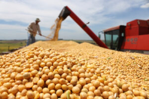 Leia mais sobre o artigo Os 50 maiores produtores de soja do mundo