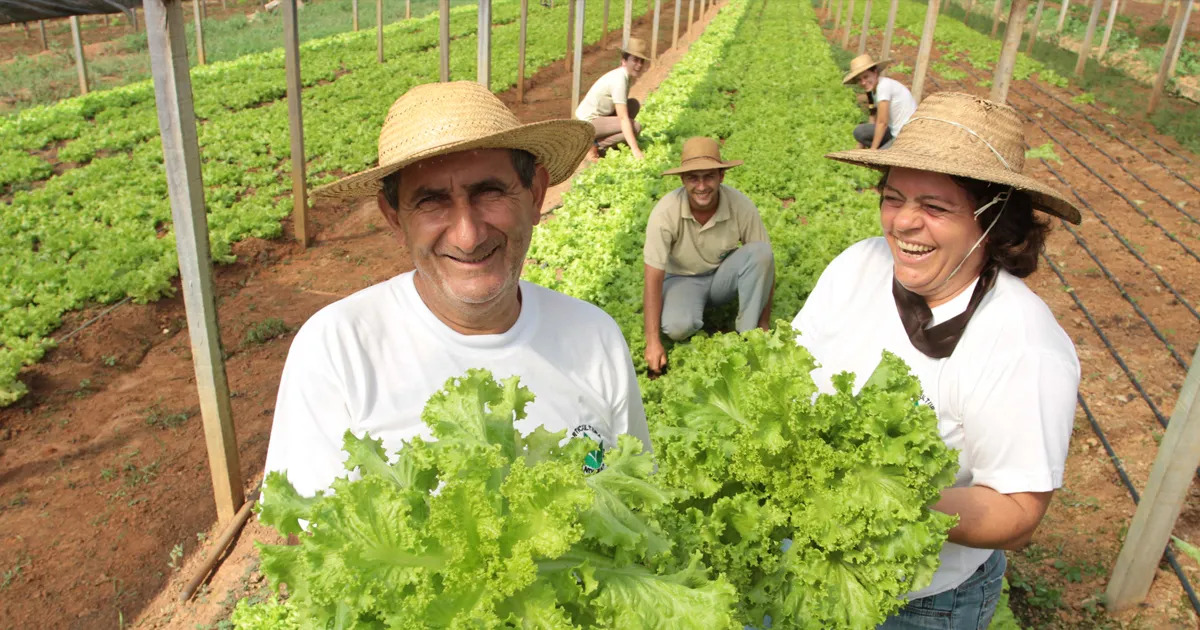 Você está visualizando atualmente Agricultura familiar terá novo cadastro a partir de novembro