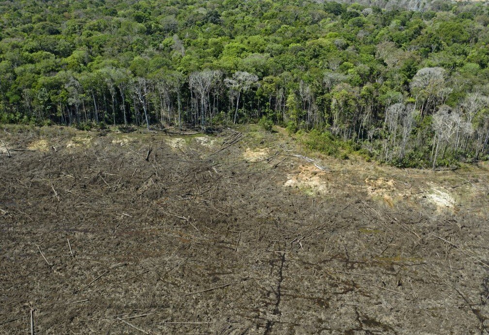 Você está visualizando atualmente GRANDES: Empresas do agronegócio propõem eliminar o desmatamento