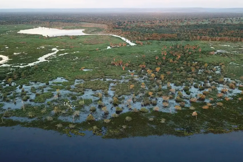 Você está visualizando atualmente PESQUISA: Pantanal sofre com seca, mostra estudo sobre a região