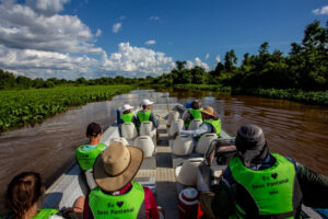 Leia mais sobre o artigo TURISMO: Saiba quais são as atrações do Pantanal