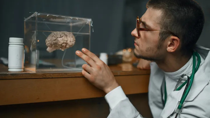 Você está visualizando atualmente 5 curiosidades que descobrimos sobre o cérebro humano em 2022