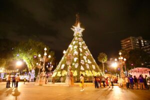 Leia mais sobre o artigo AGENDA: Saiba onde comemorar o Natal em Campo Grande