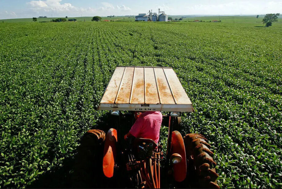 Você está visualizando atualmente Participação da agropecuária no PIB de MS aumentou 60,12%