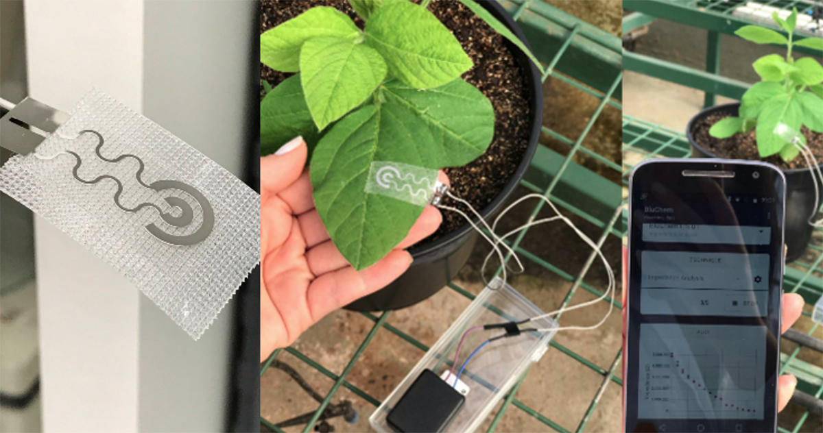 Você está visualizando atualmente Pesquisadores criam sensor que monitora água em plantações