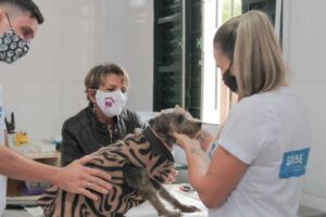 Leia mais sobre o artigo Pets tem atendimento veterinário gratuito em Campo Grande
