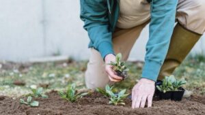 Leia mais sobre o artigo Reciclagem e a importância da reutilização de materiais no agro