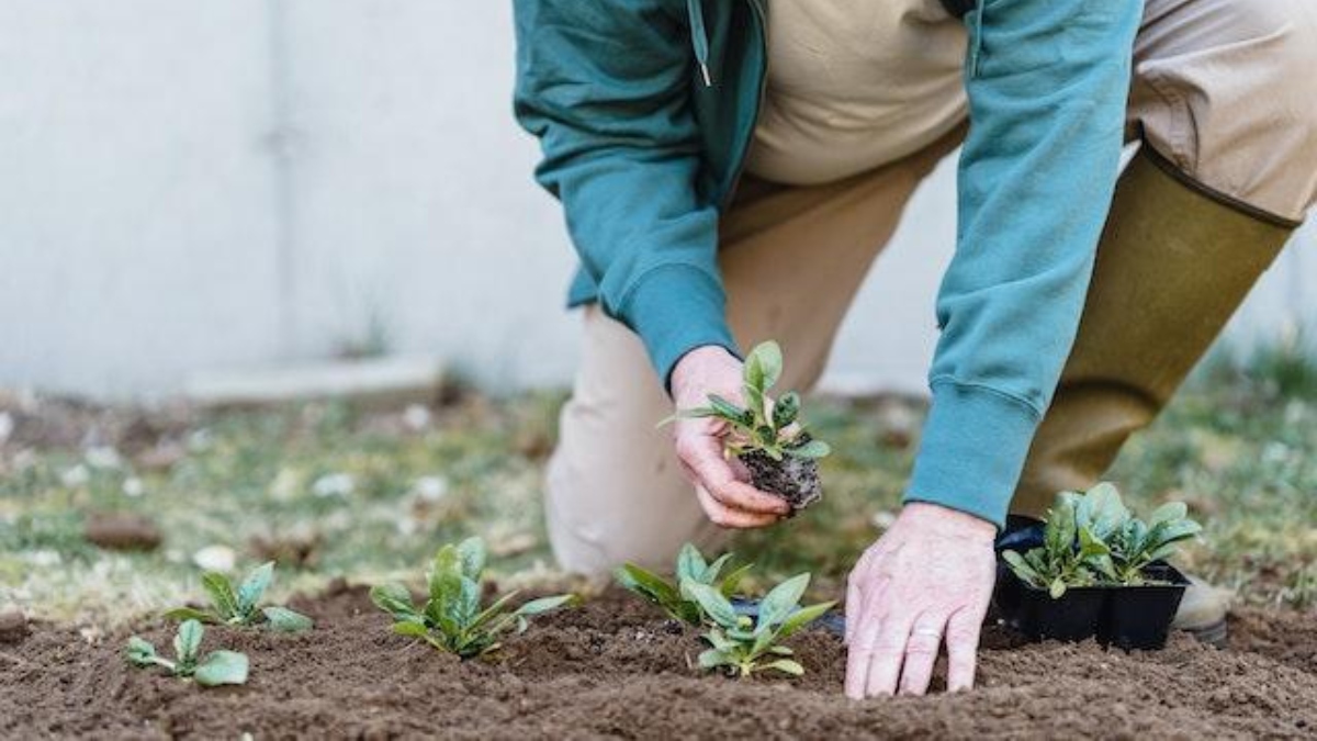 Você está visualizando atualmente Reciclagem e a importância da reutilização de materiais no agro