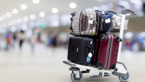 Leia mais sobre o artigo Saiba o por que você deve tirar fotos da sua mala nas viagens