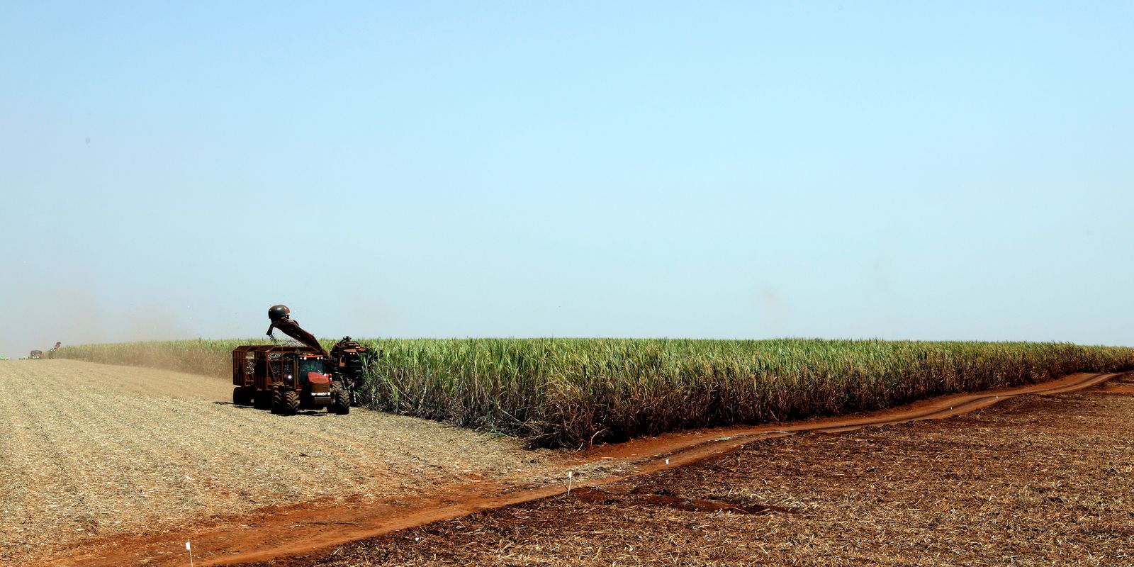 Você está visualizando atualmente SUSTENTABILIDADE: O que é agricultura de baixo carbono?