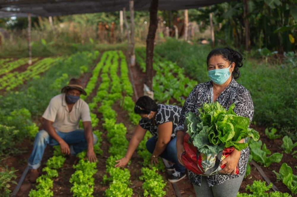 Você está visualizando atualmente Agricultores familiares de MS comercializa toneladas de hortifrútis