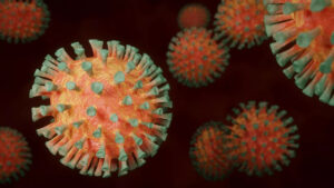 Leia mais sobre o artigo VIRÓVORO: Cientistas descobrem o 1º organismo que se alimenta de vírus