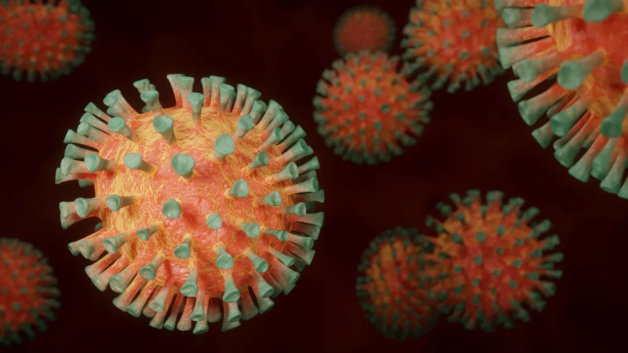 Você está visualizando atualmente VIRÓVORO: Cientistas descobrem o 1º organismo que se alimenta de vírus
