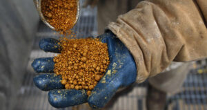 Leia mais sobre o artigo Futuros de soja dos EUA sobem com fortes exportações