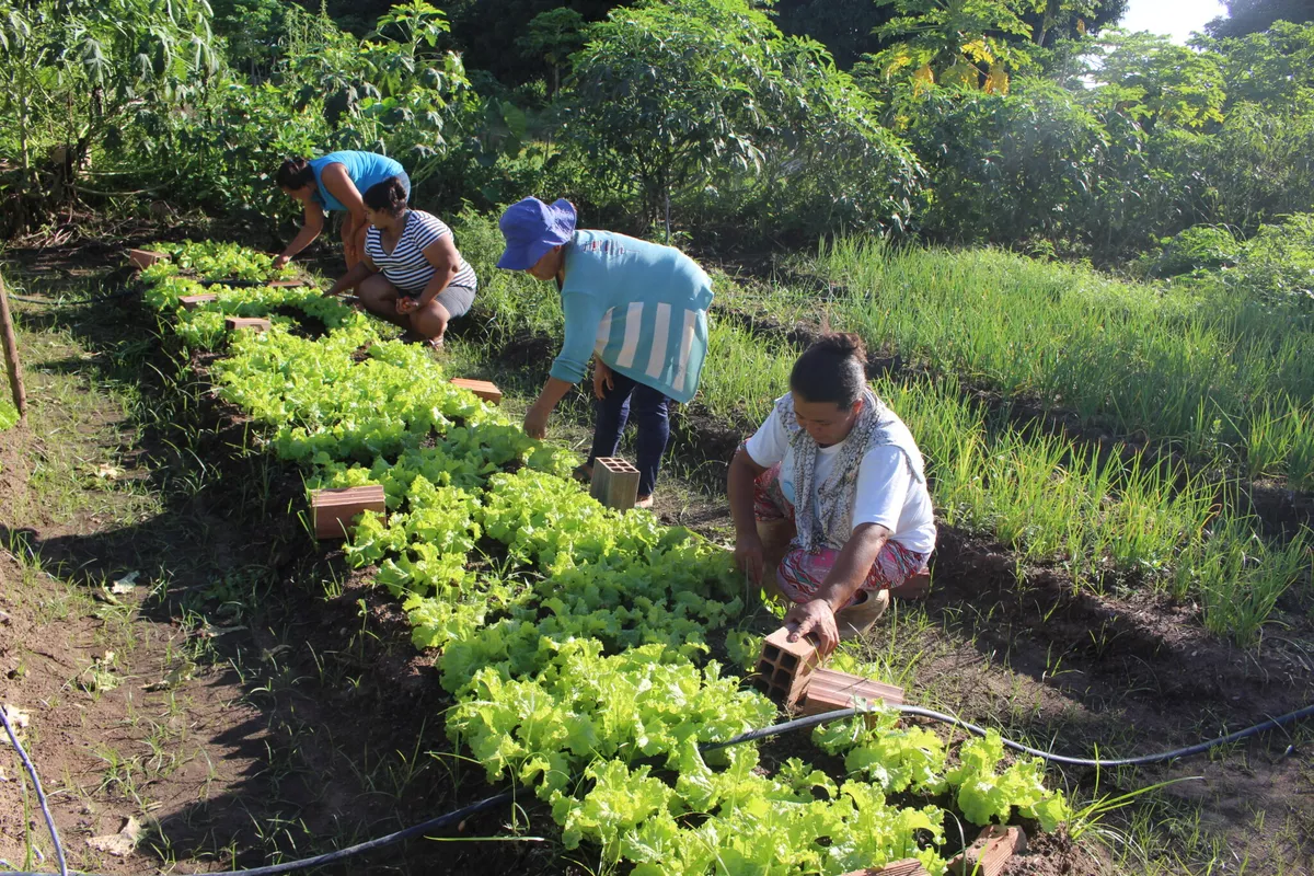 Você está visualizando atualmente Garantia-Safra autoriza pagamento para 408 mil agricultores