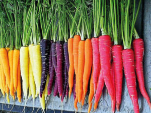 Leia mais sobre o artigo GENÉTICA AGRO: Conheça alimentos em diversas cores como a mandioca rosa