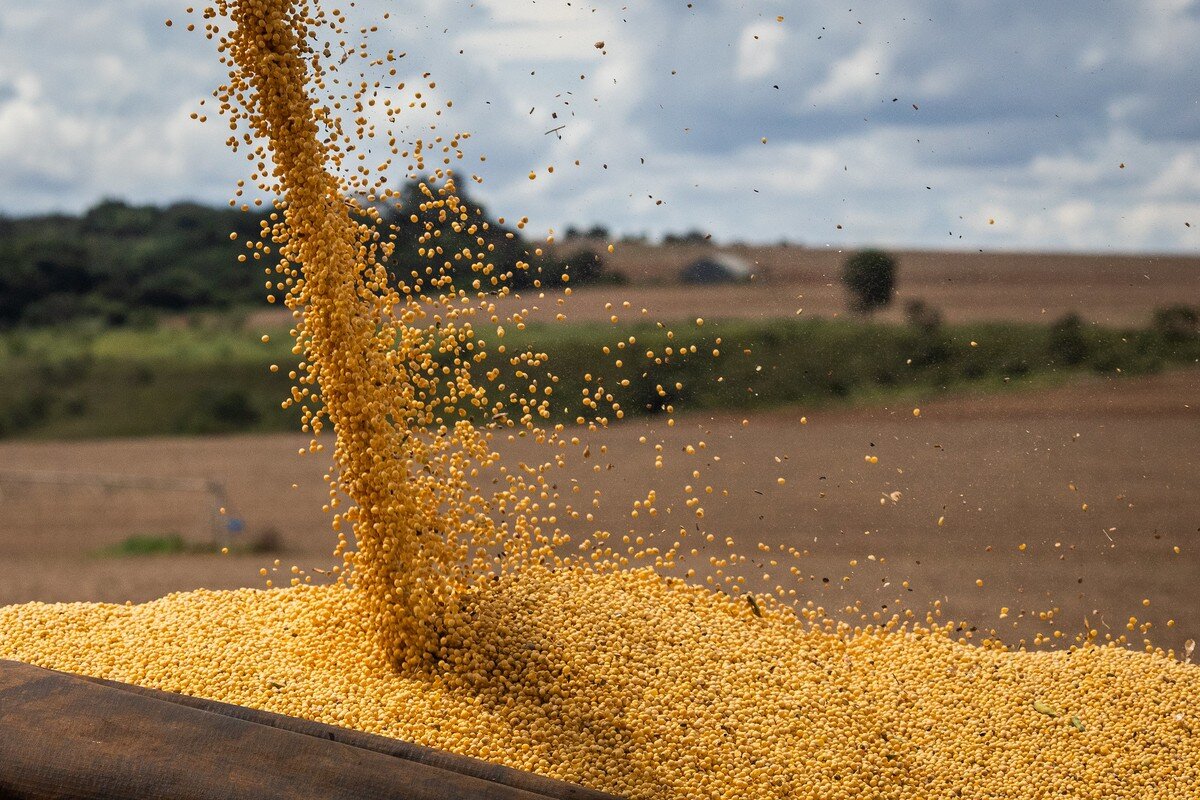 Você está visualizando atualmente Receita com exportação de soja do Brasil cresce 20,8%