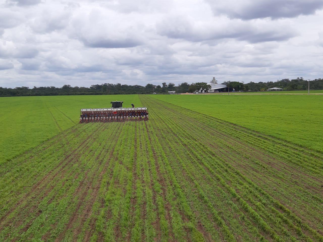 Você está visualizando atualmente Sobe preços de terras agrícolas com plantios de grãos no Brasil