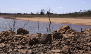 Leia mais sobre o artigo Comitiva vai ao Rio Grande do Sul conferir prejuízos com a seca
